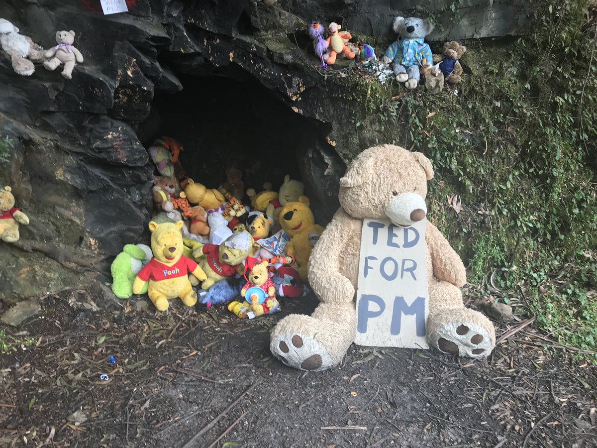 Looks like there may be another #libsspill if the residents of Pooh Corner, Kings Hwy have their way #poohcorner #auspol