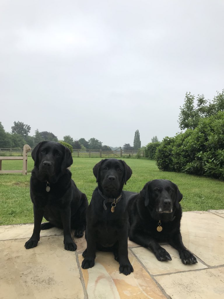 Ben Fogle tweet media