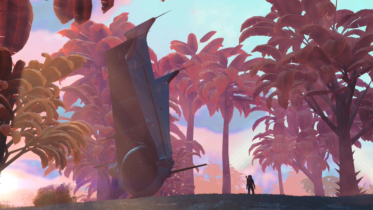 BAMbam757Gaming's tweet photo. The NEXT level.
#NoMansSkyNEXT #NoMansSky @hellogames @NoMansPics @NoMansSmile #PS4share https://t.co/DDHaaR428f