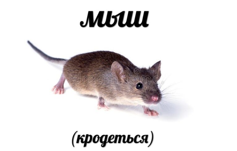 Сын мой, однажды ты родишься, вырастешь, найдешь этот аккаунт, пролистаешь его до этой записи. Хочу тебе сказать, что "мыш", который "кродеться", возможно, будет для вас труднопонимаем, но в славном 2018 это был хитяо.