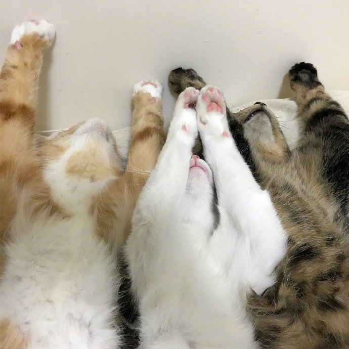 [圖]