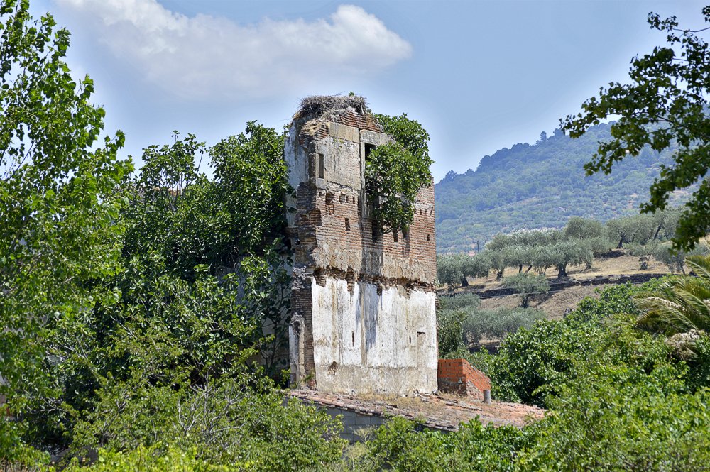 Colegio de San Fabián y San Sebastián, también conocido como del Rio. Antigua villa renacentista del siglo XVI #Plasencia #abandonado  extremaduramisteriosa.com/colegio-abando…
