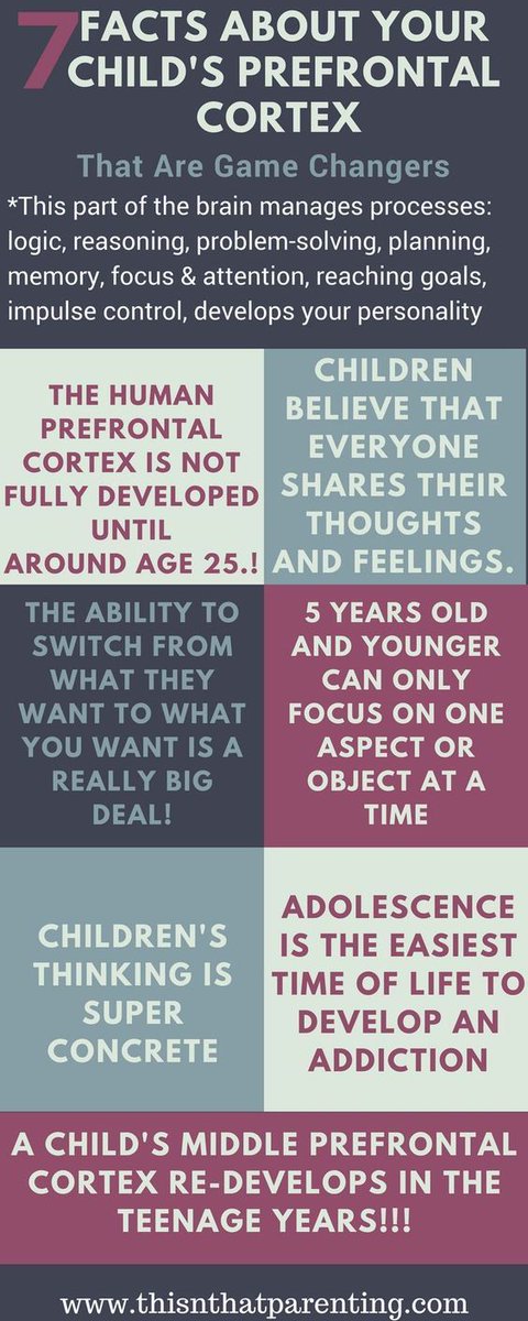 DrHyken's tweet image. #FunFacts about the #PrefrontalCortex and how your #Childs thought process works as they #Grow and #Develop. #ChildDevelopment