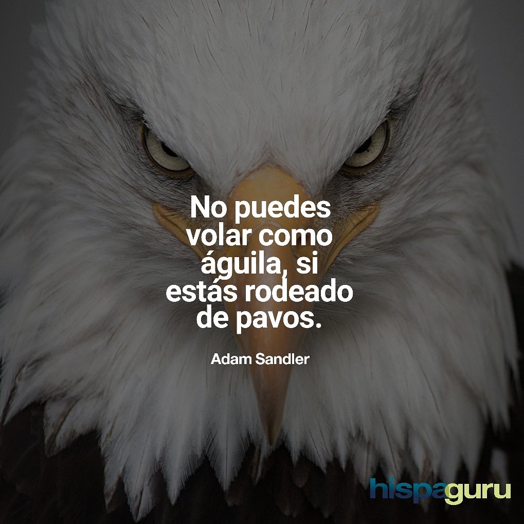 Rodéate de personas que piensen en grande. @hispaguru  #hispaguru#negocio#dinero#emprendimiento#Invierteenti