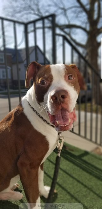 Hangin On Like Wayne's Dreads