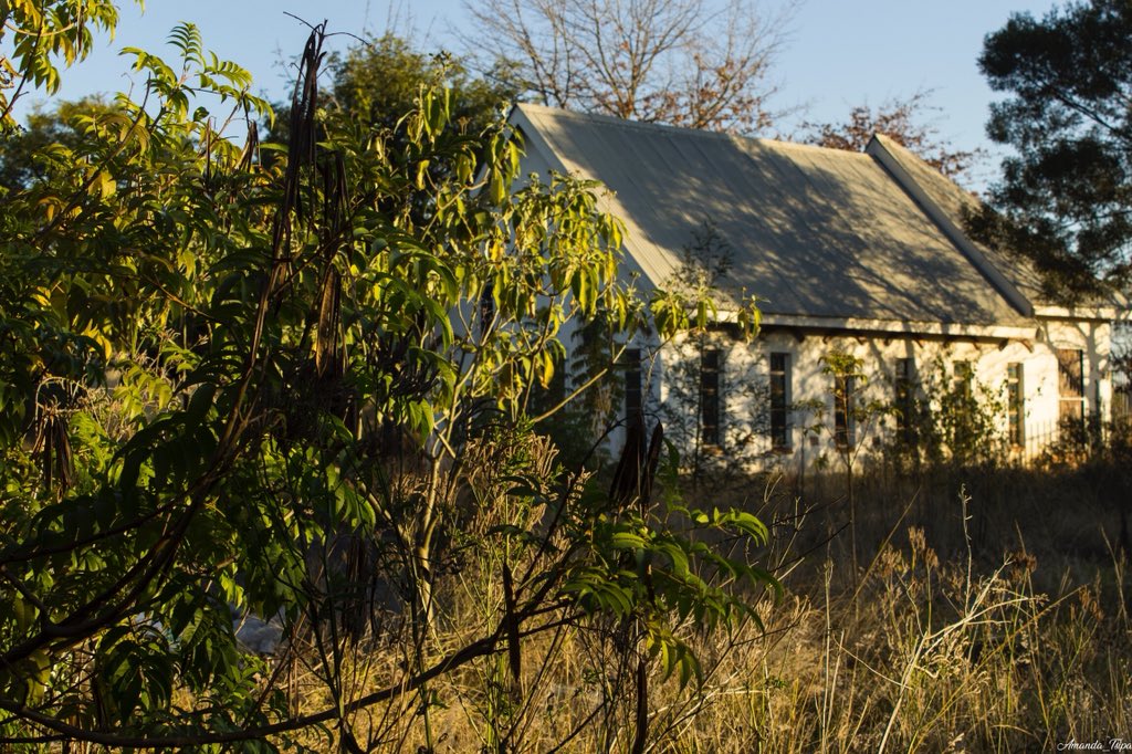 Manda🌻 tweet media