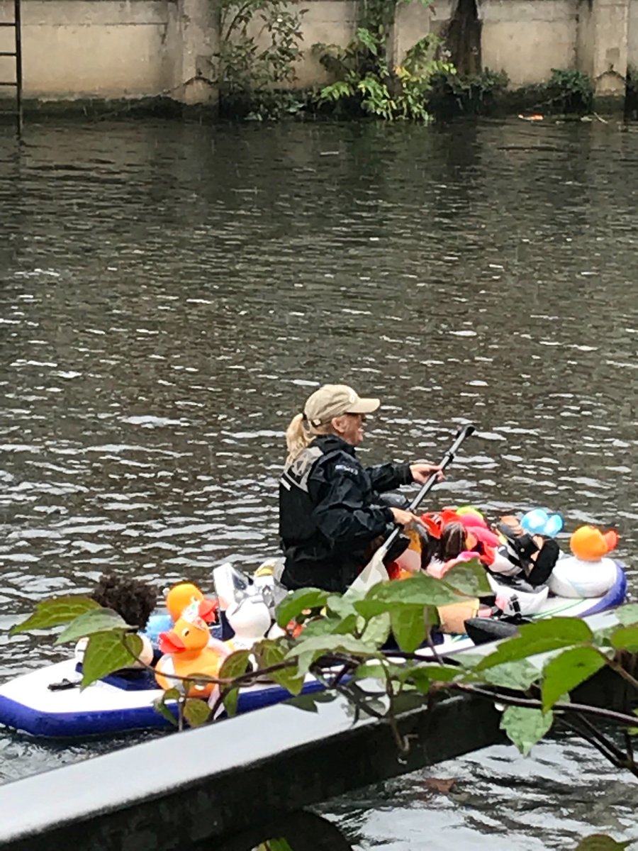 Mighty Duck tweet media