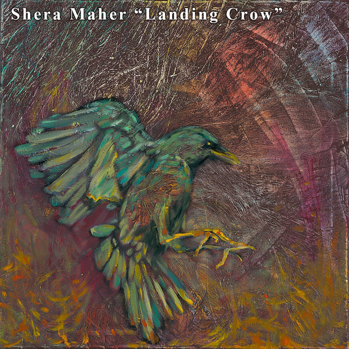 "Landing Crow", by Shera Maher. A 20x20" Oil we captured and reproduced on Archival Metal for Shera...come to TPPS to see some of her amazing work. Go SHERA! #birds #birdsofinstagram #oils #taospainter #newmexico