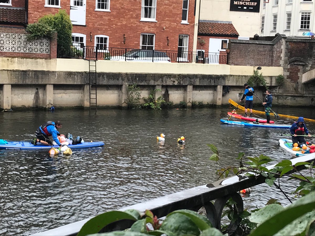 Mighty Duck tweet media