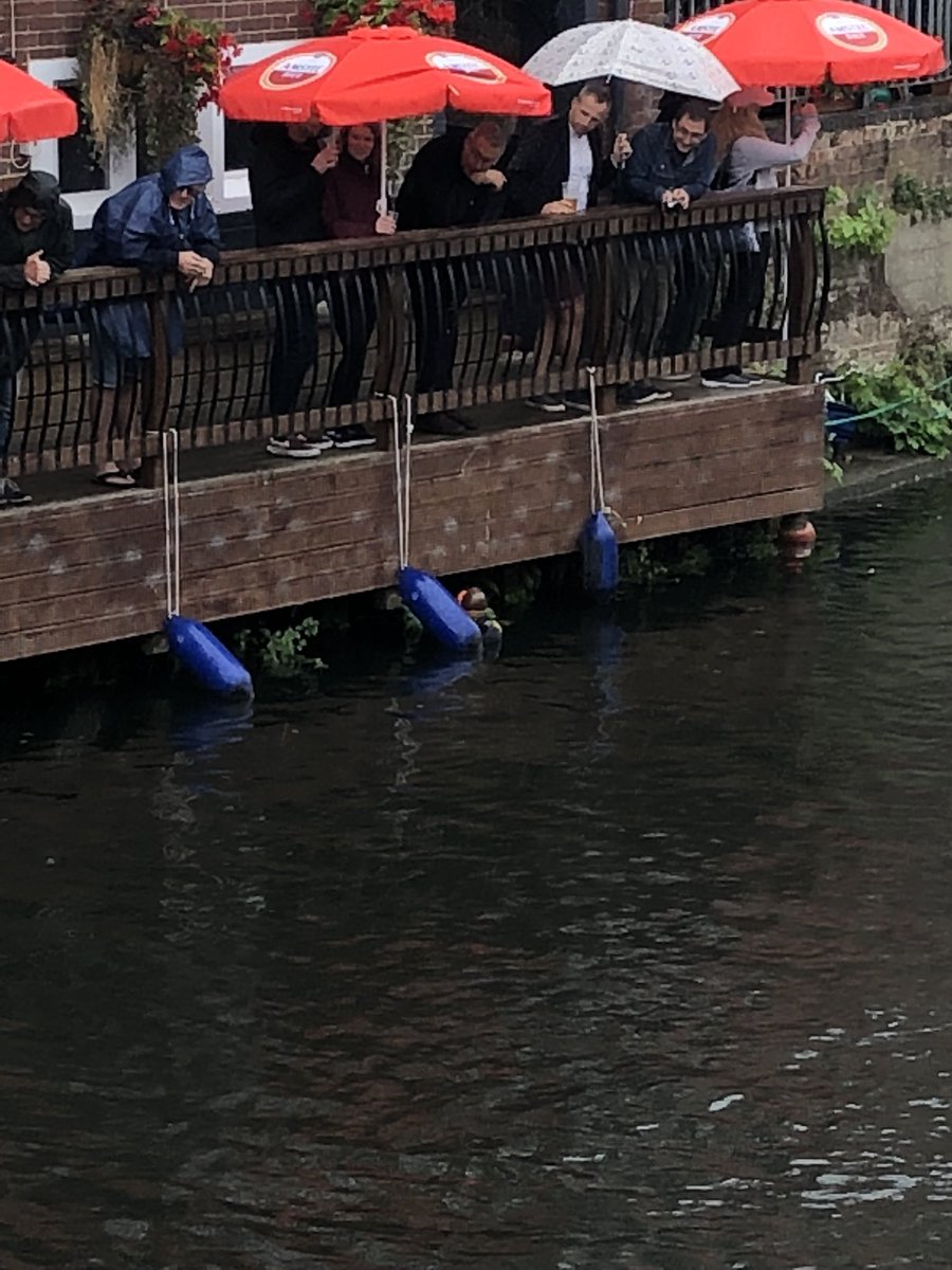 HarryQuacker's tweet image. It all started so well... holding 3rd place nearing the finish line... and then I got stuck. ☹️ #gndr18 @break_charity