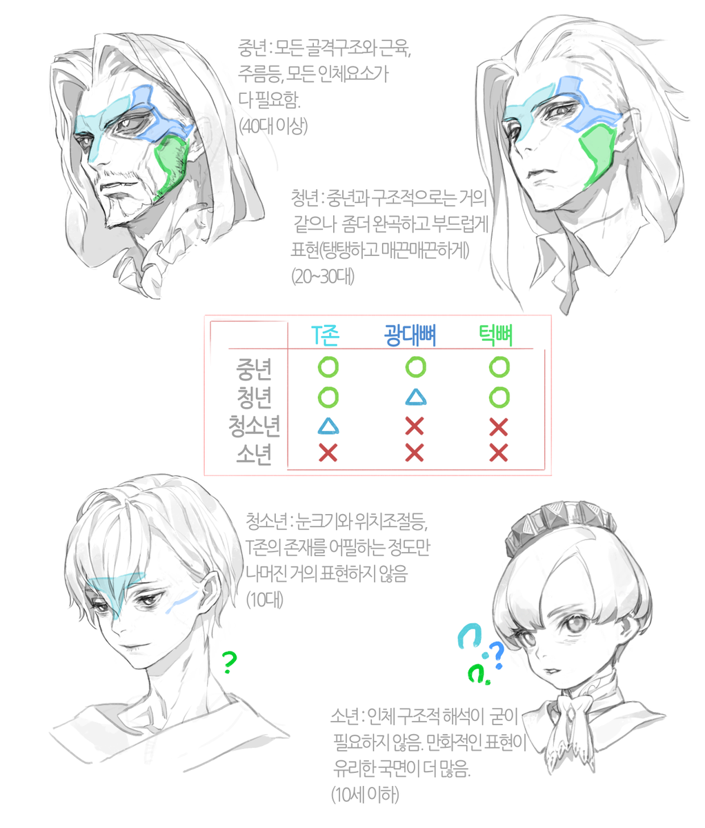 골격구조를 중심으로 한 얼굴 튜토리얼

수강생분중에 어려워하시는 분들이 꽤 있어서 만들게 되었습니다.
조금이나마 이해에 도움이 되었으면 좋겠네요.
내용이 너무 어렵다거나 문맥이 난해하다 헷갈리시면 답글주세요 ~..~ 