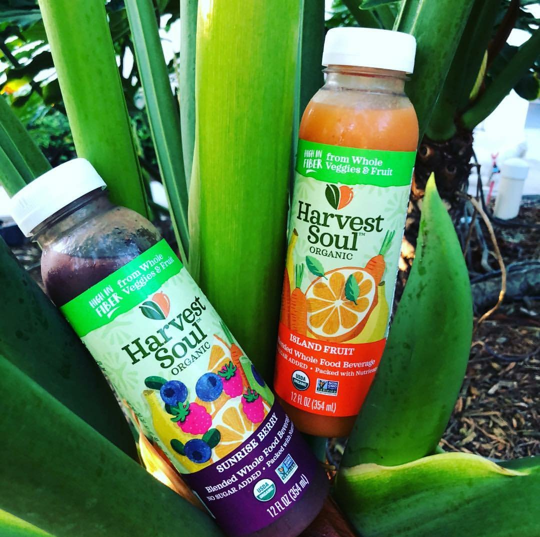 SusanBryenton's tweet photo. Good for Body, Mind and Soul!!😍Give @HarvestSoul a try today!! #organic #fruits #veggies #blended #fiber #juice #beverage #nutrition #health #HealthyLiving #fitness #yoga #plantbased #vegan #food #cleaneating #investing #innovation #SmallBiz #SquadGoals #SundayMorning #vibe💚🧡 https://t.co/qLdxsaisVa
