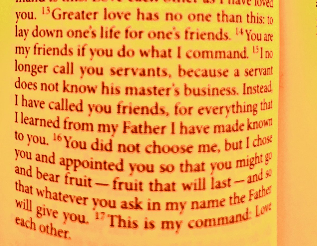 missionalfrog's tweet photo. Enjoying #danjoy unpacking Friendship in John’s gospel. We are invited to the full assurance of friendship with Christ. @LatimerMinster https://t.co/jf6jDstFe6