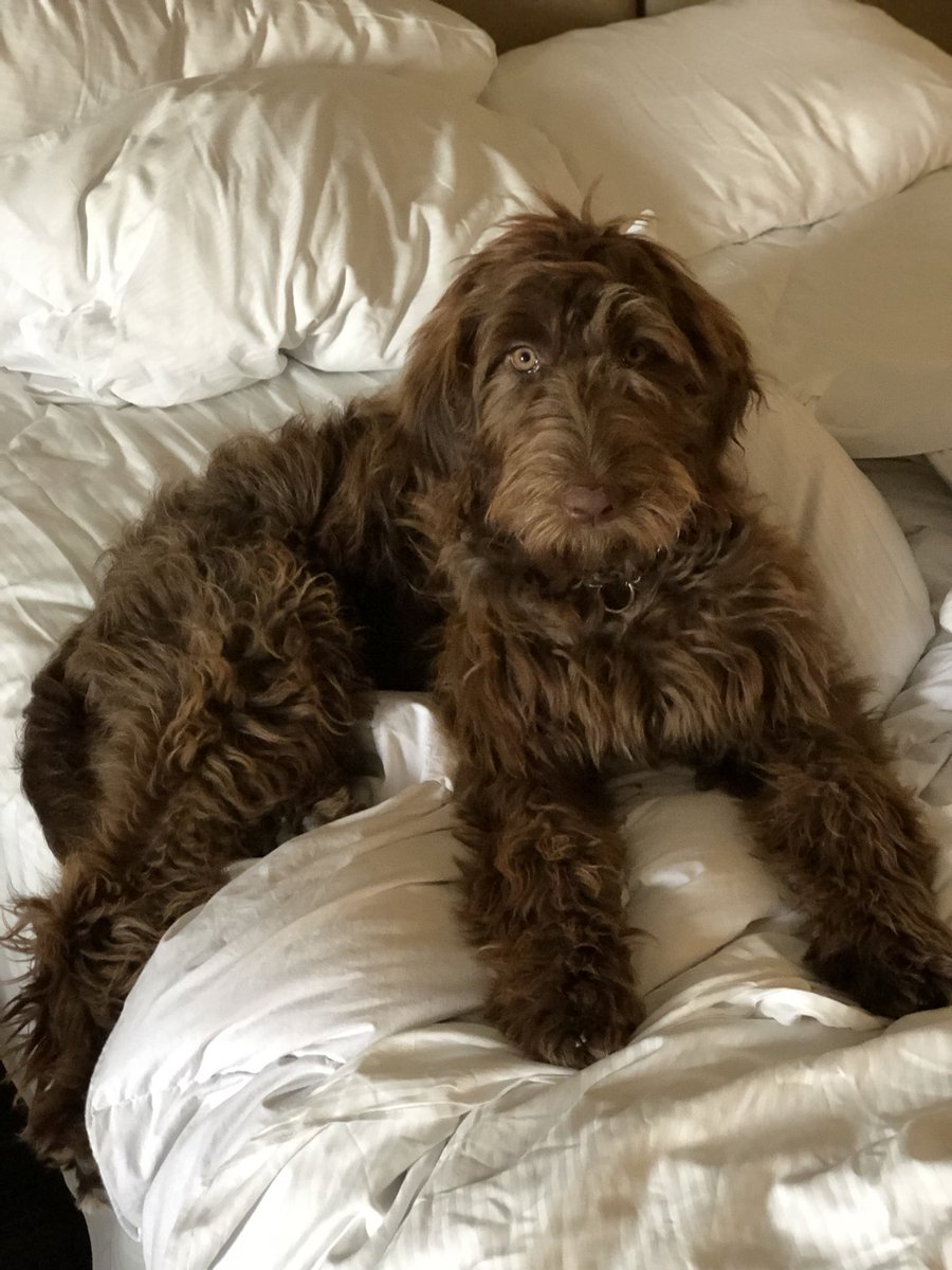 TheTrueCrimePods tweet media