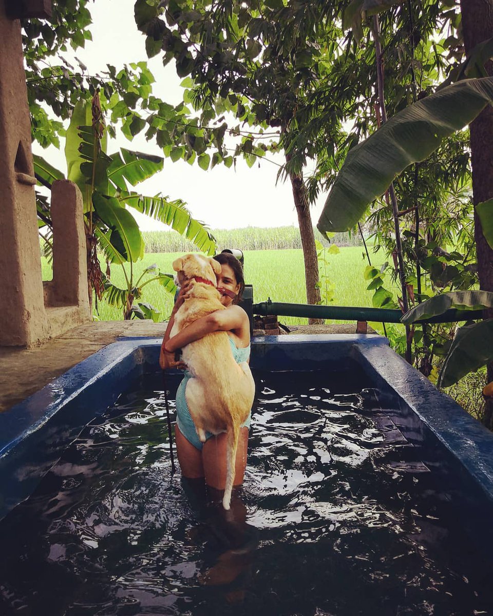 Ask_priyanka01's tweet photo. @amazonIN We have a silent understanding 
of each other
#AmazonWoofFest18 
#NationalDogDay 
Hope to win https://t.co/2aUJlE8HIH