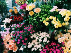 f328com's tweet image. バラ、豊富です。 f328.com/blog/?p=4594