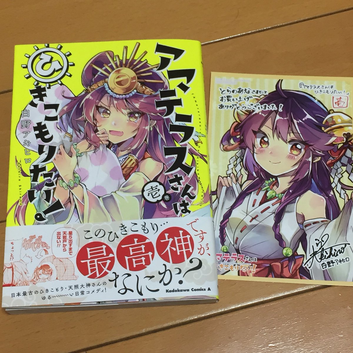 アマテラスさんはひきこもりたい