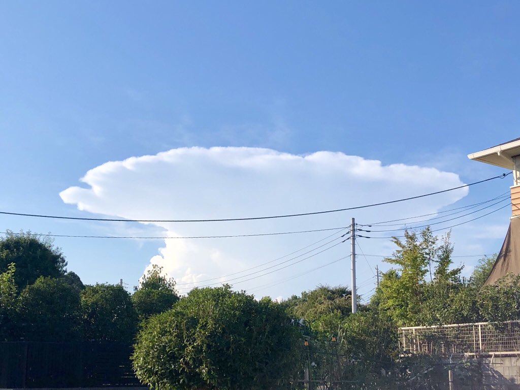 画像 今日すごい雲見つけてキノコ雲みたいだねって言ってたんだけど ラピュタってトレンドに乗るくらい広範囲で見られててすごいことだったんだね 積乱雲 ラ まとめダネ
