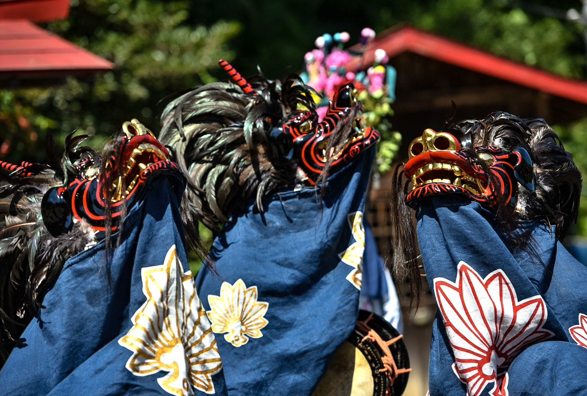 今熊神社獅子舞 今熊神社獅子舞