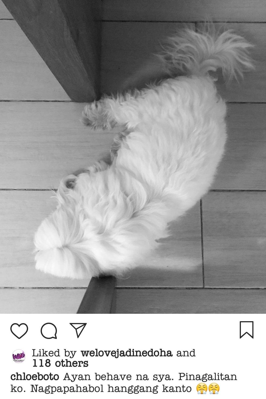 ðð²ð¼ð¼ ð ð¯ on Twitter: "Tawang tawa ko sa Igs ni Chloe. Si Clarky