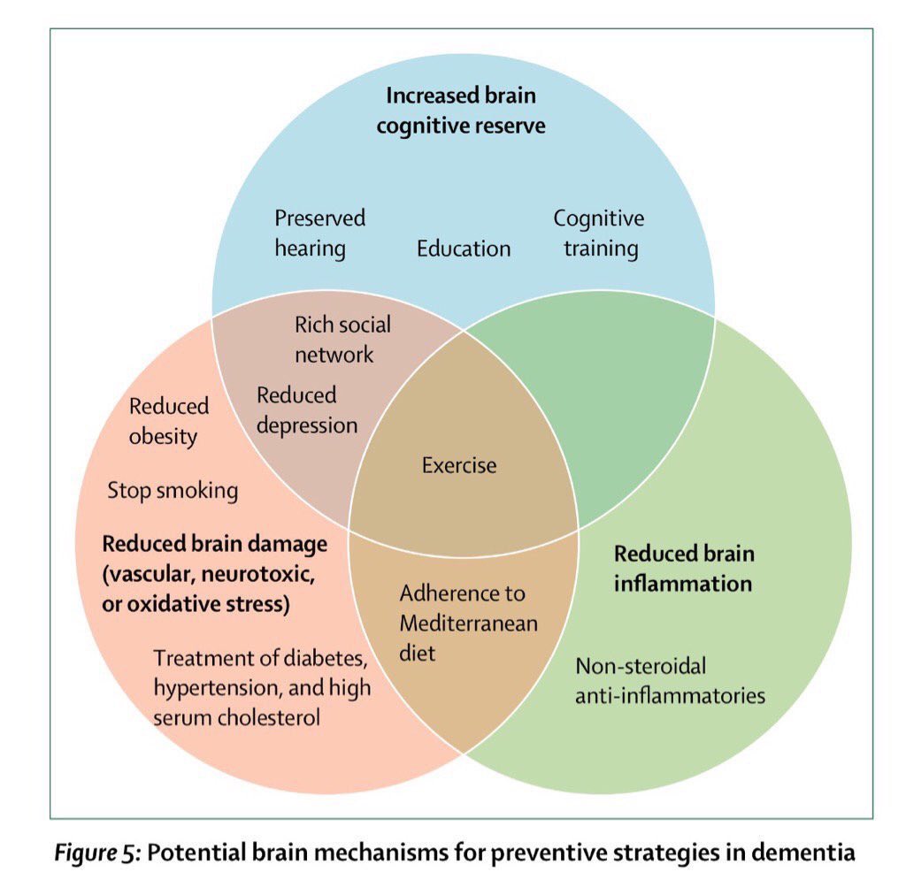 #Exercise 🏃🏻‍♂️🏃🏽‍♀️ is central to preventing #dementia: combined with other behaviors it can reduce risk by ~35% MT @exerciseworks

#Alzheimers #health #aging #fitness via <a href="/LEAD_Coalition/">Ian Kremer</a>