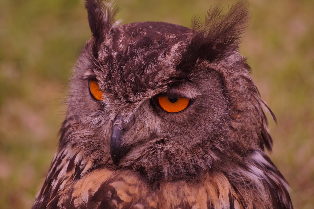 StuartyEllison's tweet image. 