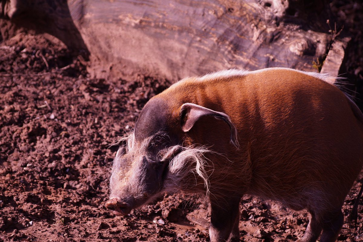 StuartyEllison's tweet image. 