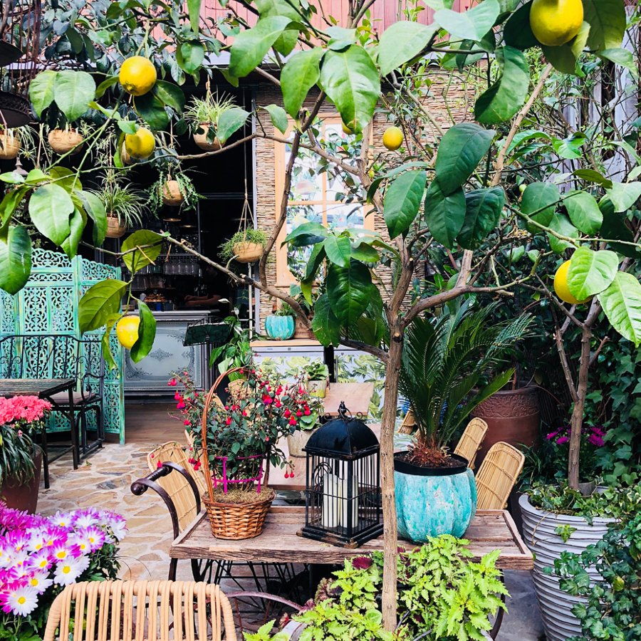 SalBachiller's tweet photo. Looking to escape the #city? We’ve got the perfect place for you 🏙️😉💙 Book a table and enjoy a nice #lunch and fabulous #desserts 🍰🍪🍧
.
.
.
#gastrobaressb.com
#salvadorbachiller #Madrid #SBlovers #SBfriends #terrace #citycenter #SBsummer https://t.co/VK9ZFpWLaE