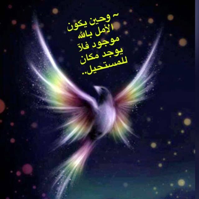 sweettalk__f's tweet image. عذٌبّوِك يّٱقَلبّيّ💕