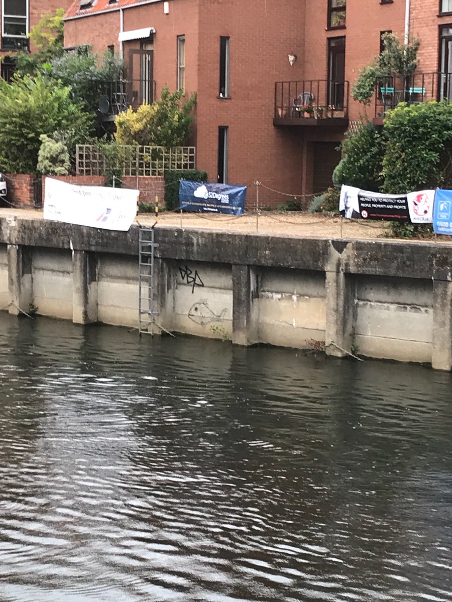 Mighty Duck tweet media