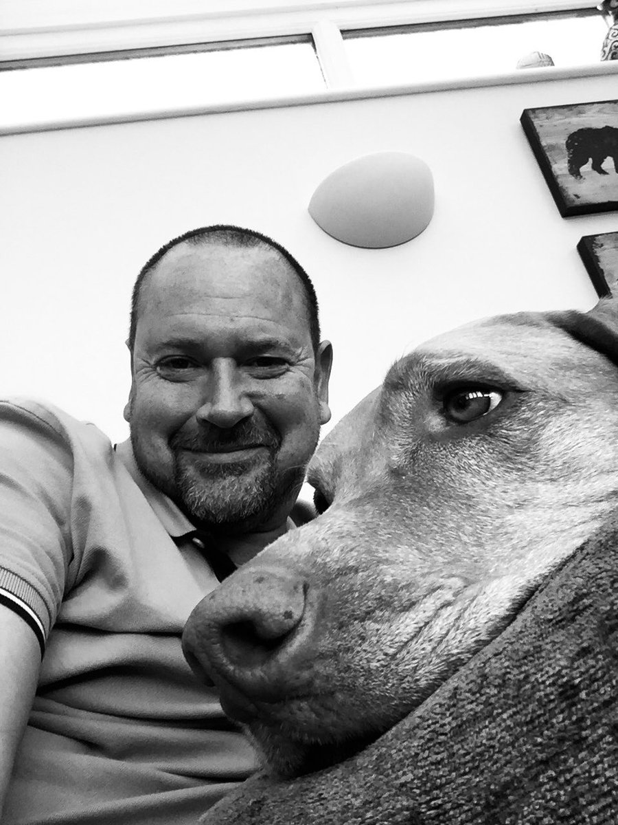 Wondercliff29's tweet photo. #NationalDogDay https://t.co/PdAkzV27w5