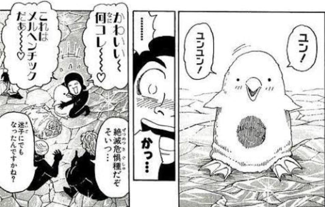 母 性 ド ン Twitter પર トリコは トリコと小松くんの絶対的絆がすごすぎるし とにかく小松くんが死ぬほど可愛いし優しいし賢いし良いところしかないので すっごくおすすめします