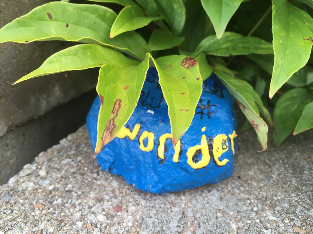 Found this one in Cosmo Park and rehid it in the park again despite really wanting to keep it for my classroom!  My fifth graders <a href="/BeulahRalphElem/">Beulah Ralph Elem</a> would have loved this one!!!#comorocks