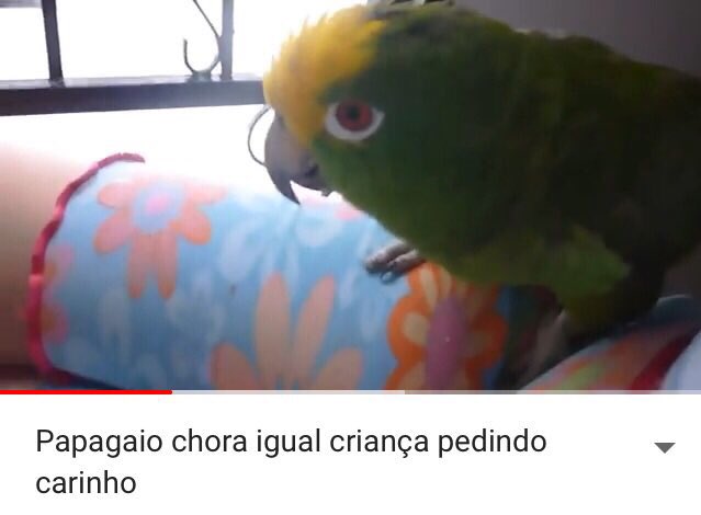 borntidar's tweet image. eu hoje