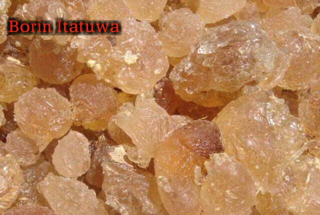 444Gambo's tweet photo. Please tells us the names of this in you're language? https://t.co/q7IiLWQ70w