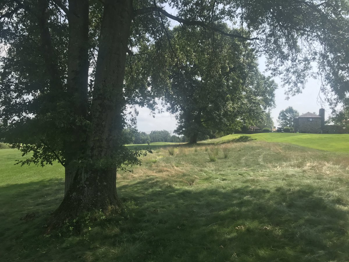 PCCGreens's tweet photo. Eagel make par from here! Halves the hole to keep the match all square through 29 holes. https://t.co/FrkqLOkPYp