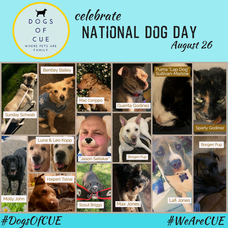 joincalie's tweet photo. WOOOOOOF!!! Join us as we celebrate #NationalDogDay with a very special message from our own CUE Staff & Board #DogsOfCUE! Help us spread the love for our K9 (and feline) family members! #WeAreCUE https://t.co/KF2Oml8ie8