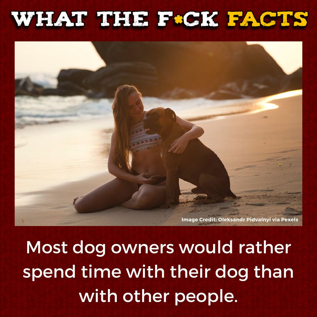 WhatTheFFacts's tweet photo. https://t.co/pKIcyducl3
