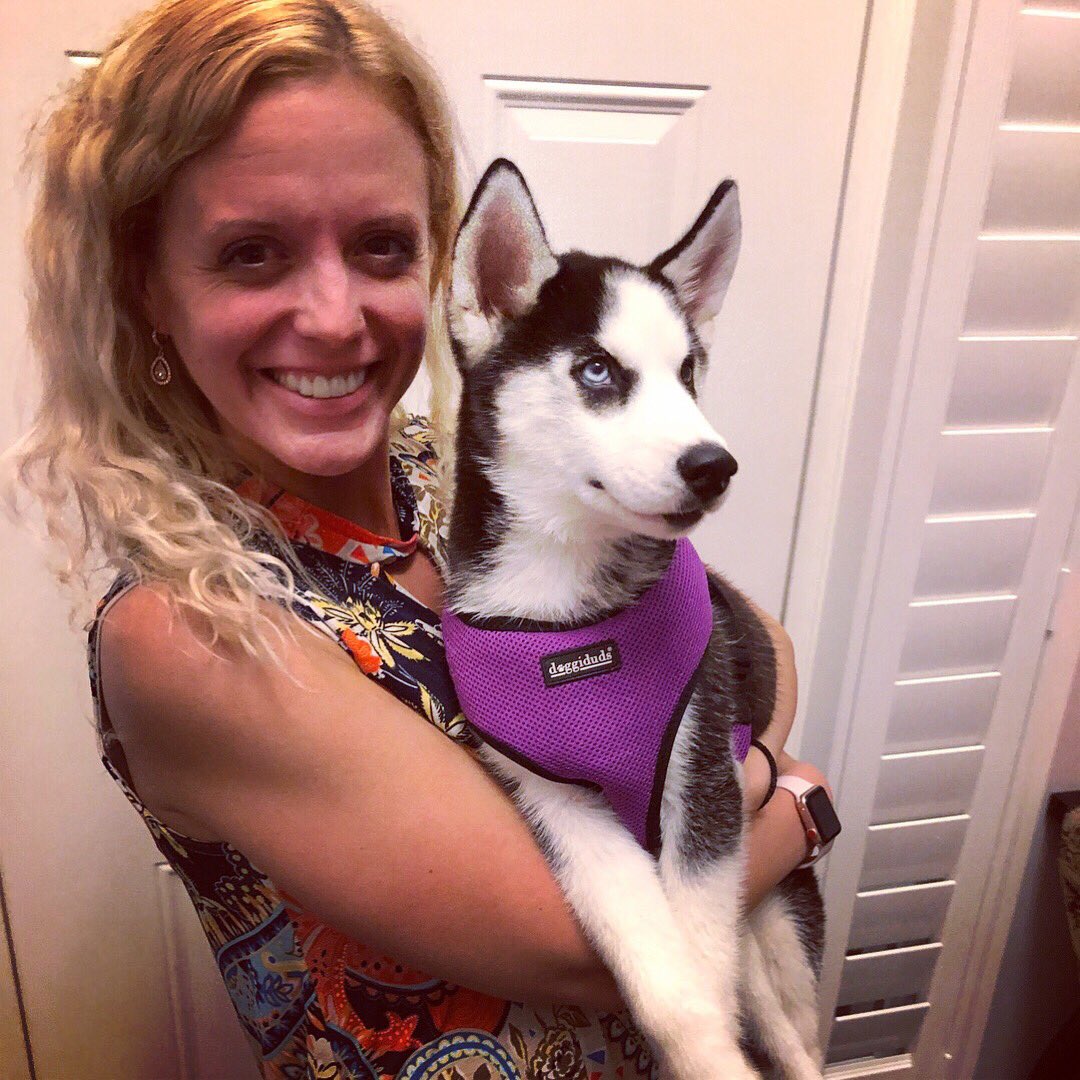 RNRSocial's tweet photo. Happy #nationaldogday! Thought I’d highlight that I am not the proud auntie of an adorable Siberian husky names Koda! 
#nationaldogday🐶 #marketing #socialmediamarketing #marketingconsulting #socialmediastrategy #smallbusiness #socialmediahelp https://t.co/BjfqvwcbMf