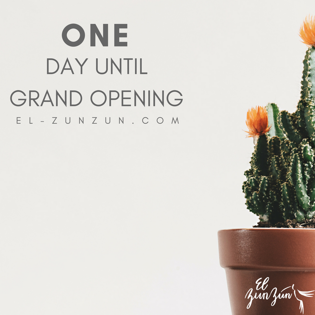 ElZunZun's tweet photo. Get excited!! The day has finally come. Tell your family, friends, and co-workers to meet you @ #elzunzunbham https://t.co/awDSMMovbi