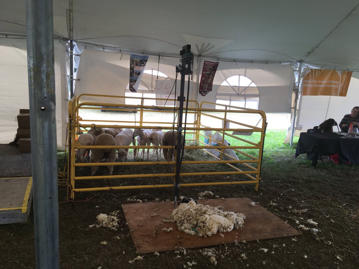 Come see the shearing demonstration at <a href="/TheCapitalFair/">The Capital Fair</a>. We’re in the Agriculture Pavilion today. Next Demonstration @ 3pm.