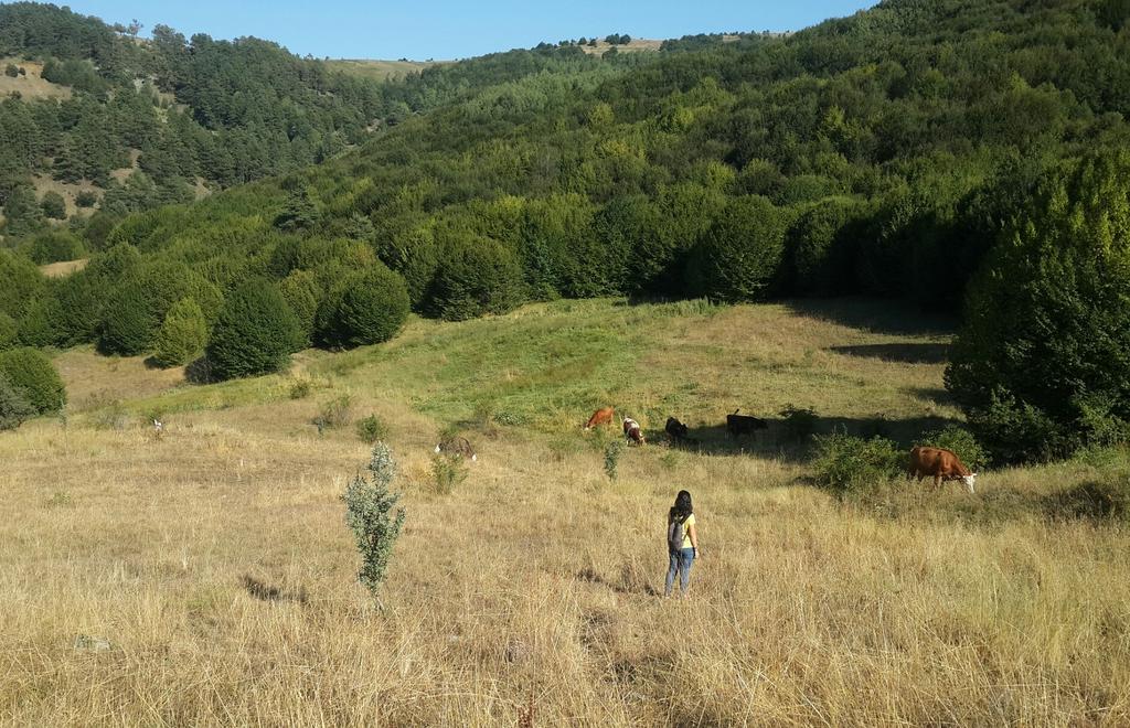 berteng_'s tweet photo. Bugünki trekking parkurumuzda Çayıre Golan ve Tawulan vardı 😌 
#sivasgünlükleri https://t.co/GyXzFhnRTH