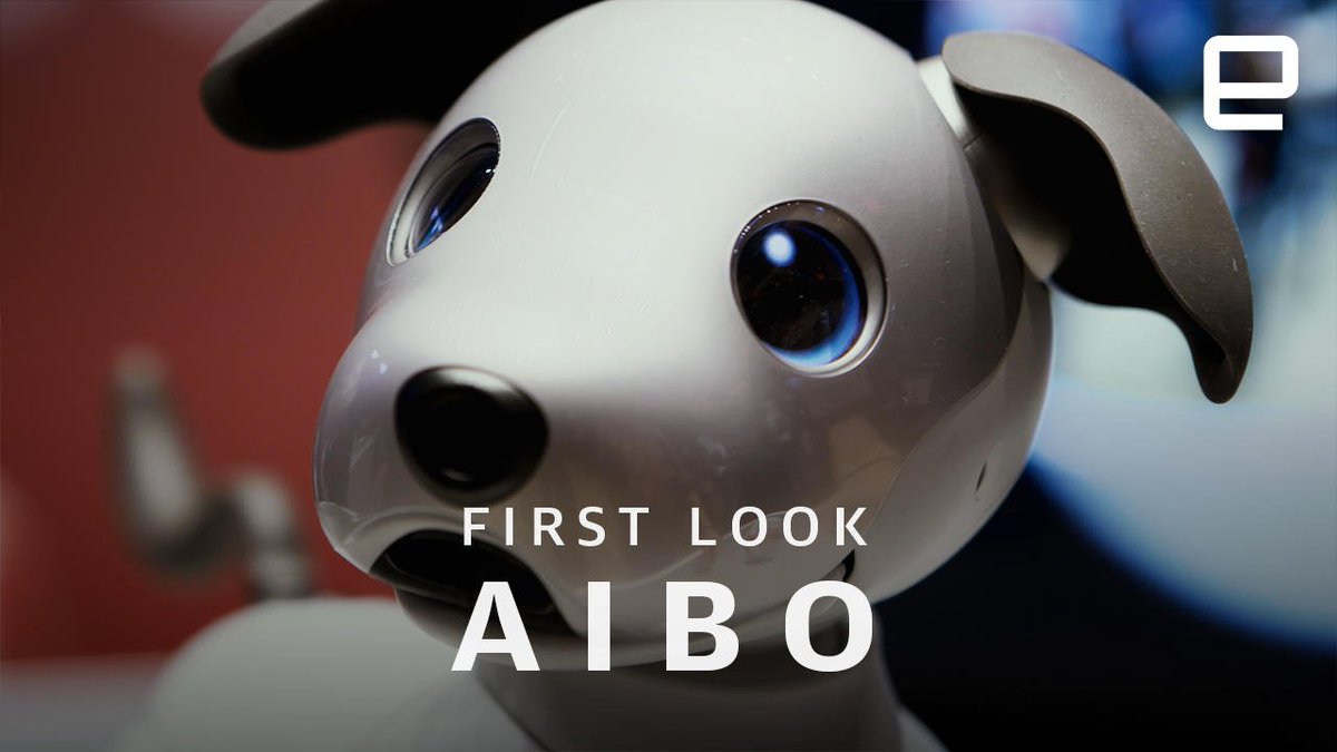 Aibo First Look: Impossibly Cute https://t.co/hGIB4dBNzt