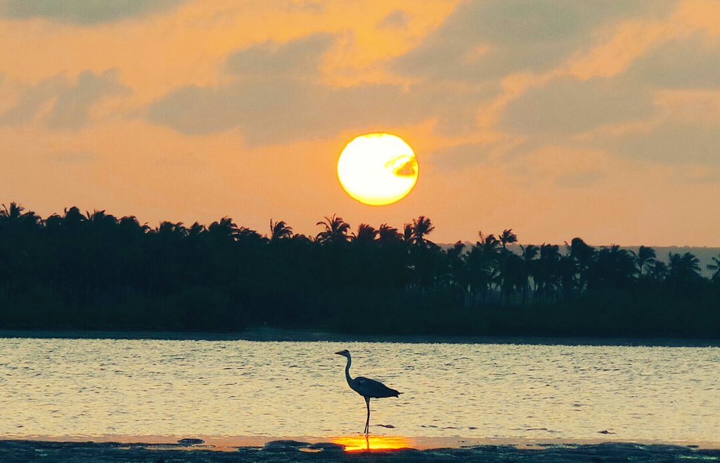 Crab Shack Dabaso, Watamu (Crabshackwatamu) Twitter