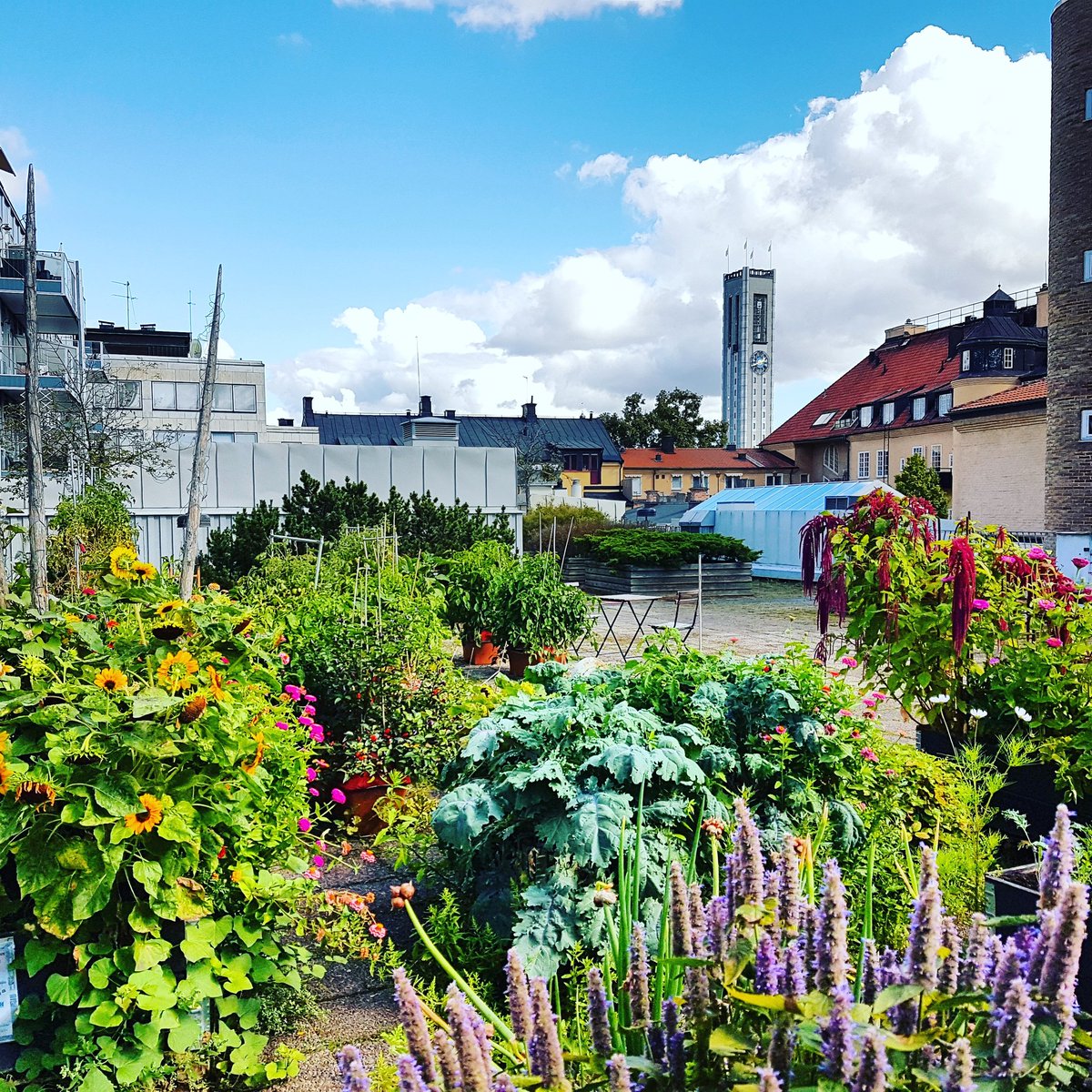 Tack alla som kom på föreläsning på #Takfarmen idag. Så himla trevligt.