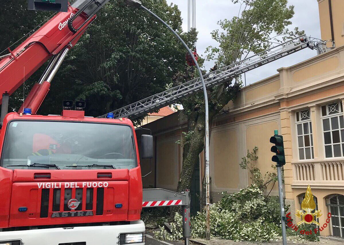 vigilidelfuoco's tweet photo. #Maltempo #Treviso #26ago 16:00, dalla scorsa notte i #vigilidelfuoco sono stati impegnati nei comuni di #Sarmede, #Cordignano e #Orsago: finora svolti oltre 40 interventi per il prosciugamento di cantine e garage e la messa in sicurezza di alberi pericolanti #soccorsiquotidiani https://t.co/IcAAf6qQlO