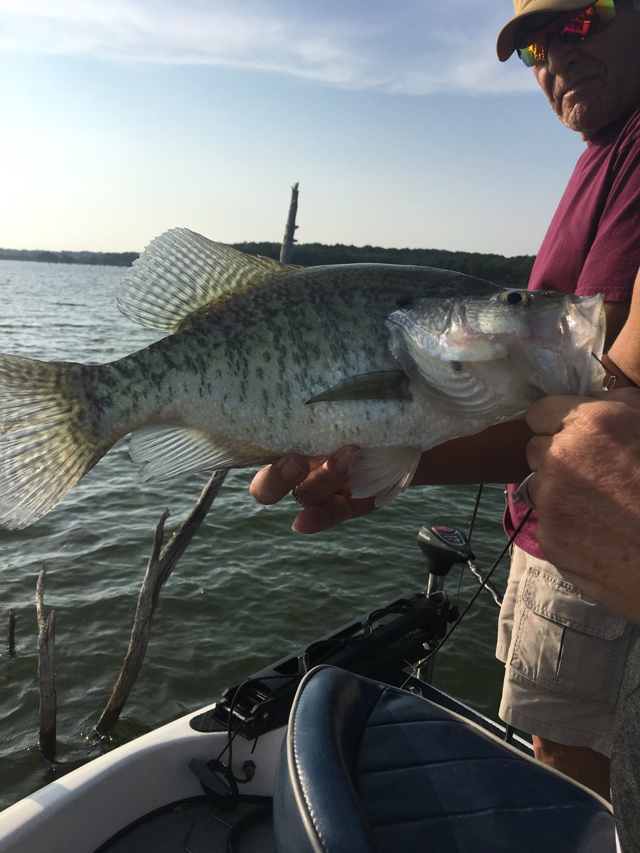 shellyyancey's tweet image. Yummy #RayRoberts