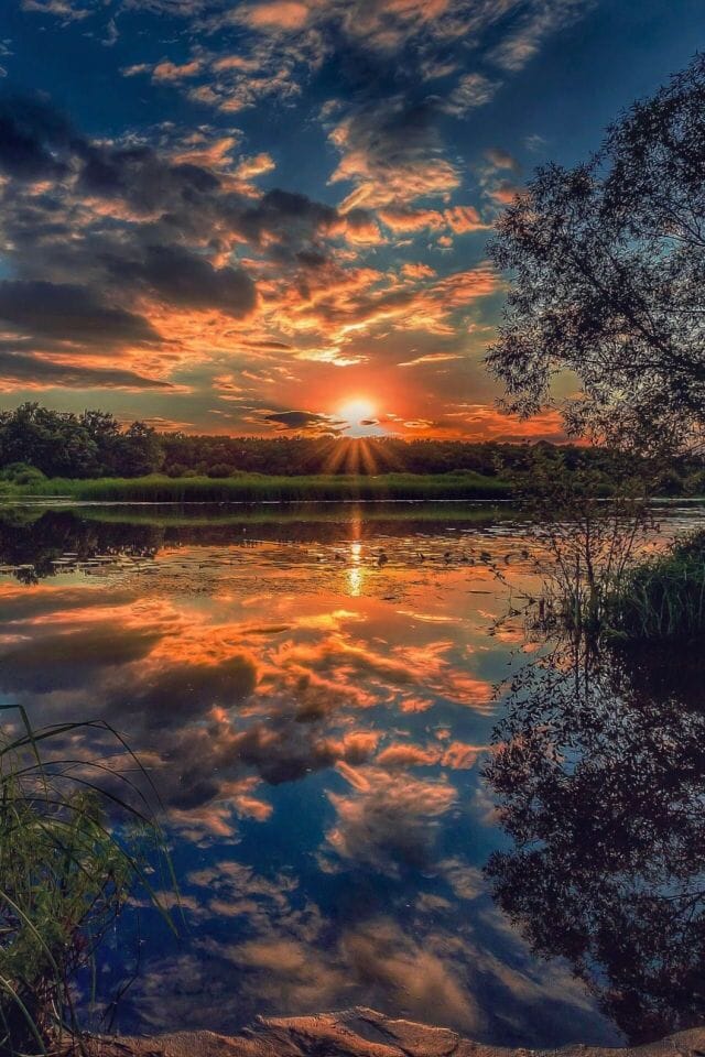 sparrow17's tweet - "Then shall your light break forth as the ...