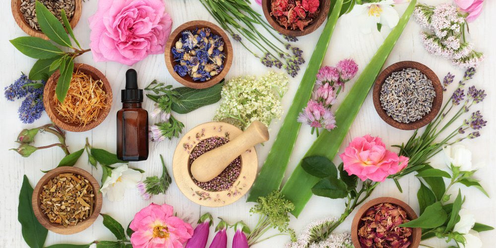 O2@sun (@naturolys) on Twitter photo 