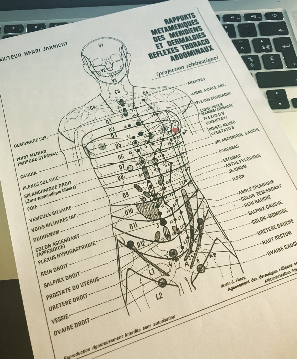 O2@sun (@naturolys) on Twitter photo 